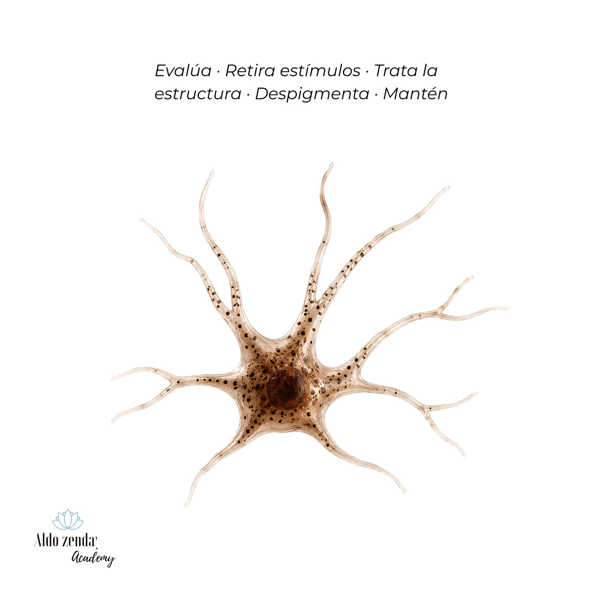 MÉTODO MANCHAS™

El sistema Aldo Zenday™ para entender y tratar la pigmentación