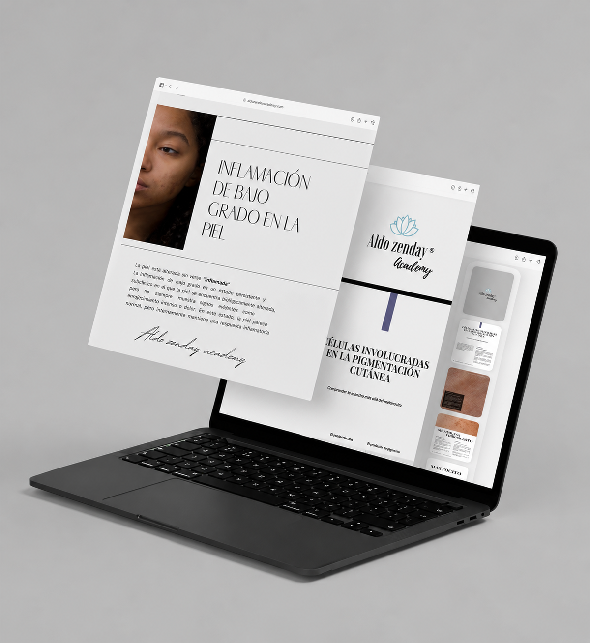 Colección Gratuita — Aldo Zenday Academy