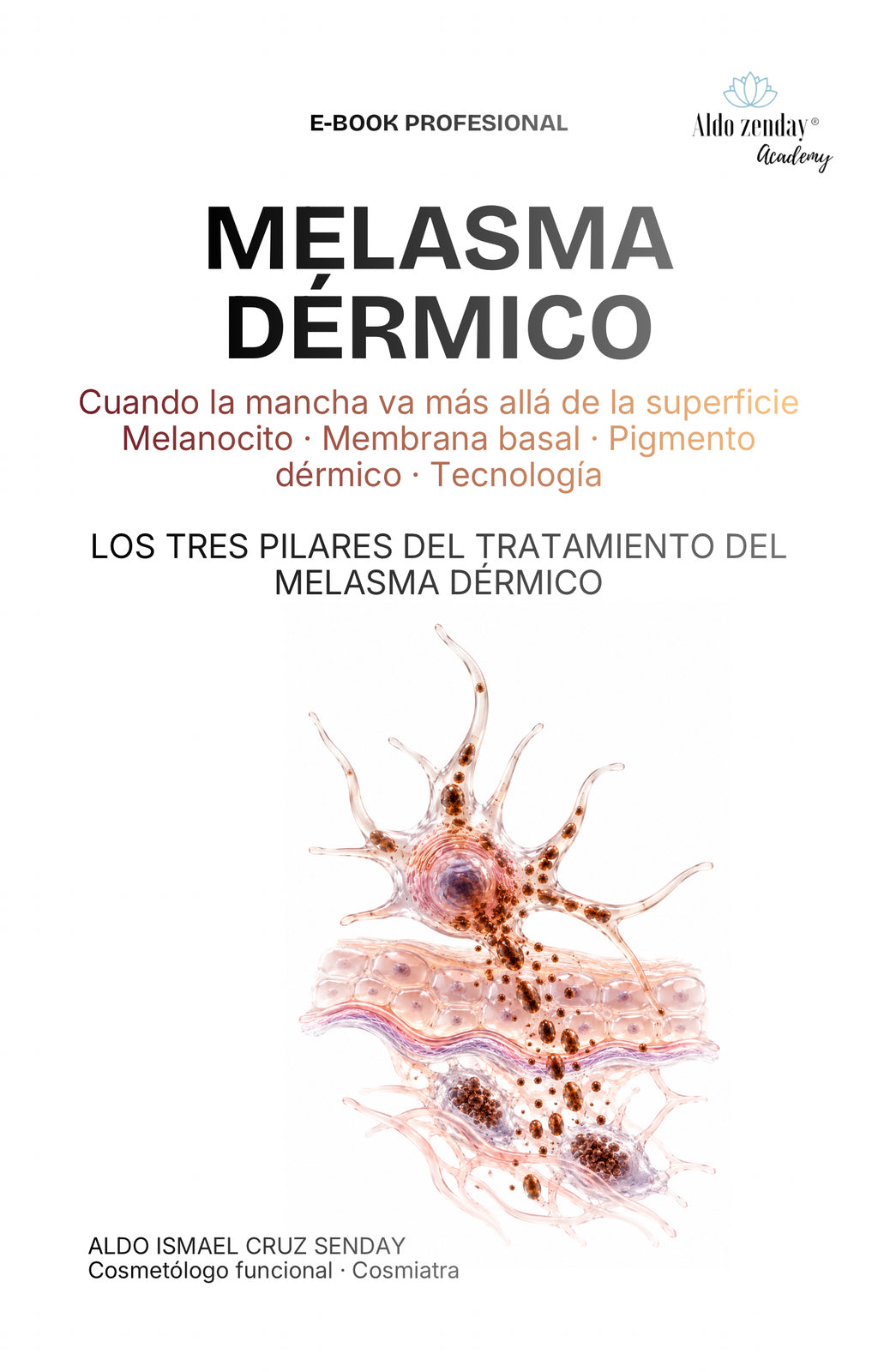 CÓMO TRATAR EL MELASMA

Los 3 pilares para entender por qué el melasma persiste y cómo abordarlo