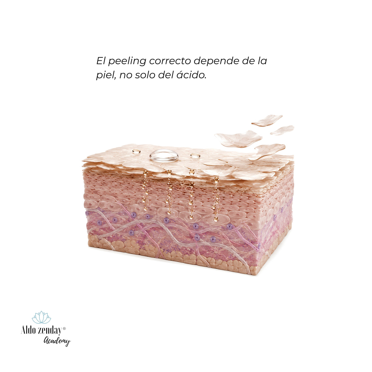 PEELINGS CON CRITERIO™

Cómo elegir el peeling correcto para cada piel